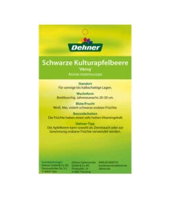 Apfelbeere, Aronia 'Viking' -Ecopots Garten Geschaft 00000000 Aronia melanocarpa Viking 2016 2