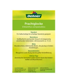 Prachtglocke -Ecopots Garten Geschaft 00000000 Enkianthus campanulatus 2016 2