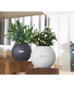 LECHUZA® PURO Color, All-in-One-Set, Rund, Ca. Ø20 Cm 16 LECHUZA® PURO Color, All-in-One-Set, Rund, Ca. Ø20 Cm -Ecopots Garten Geschaft 2418598 WE MO 003 LechuzaPuroColor20schiefergrau