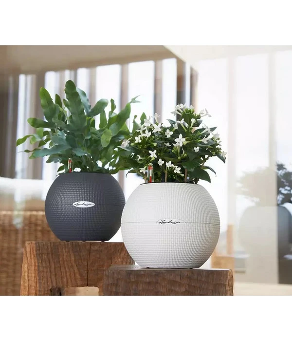 LECHUZA® PURO Color, All-in-One-Set, Rund, Ca. Ø20 Cm 9 LECHUZA® PURO Color, All-in-One-Set, Rund, Ca. Ø20 Cm – Bild 7