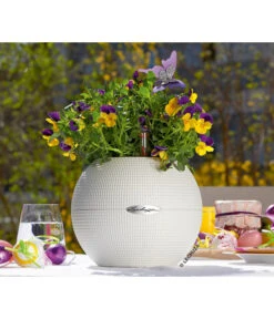 LECHUZA® PURO Color, All-in-One-Set, Rund, Ca. Ø20 Cm 14 LECHUZA® PURO Color, All-in-One-Set, Rund, Ca. Ø20 Cm -Ecopots Garten Geschaft 2418622 WE MO 004 PuroColor20cmweiss