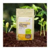Mykorrhiza Soluble, 30 G -Ecopots Garten Geschaft 2537082 WE FS 001 MykorrhizaSoluble30g