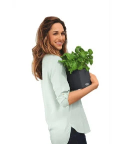 LECHUZA® CUBE Color, All-in-One Set 11 LECHUZA® CUBE Color, All-in-One Set -Ecopots Garten Geschaft 2843480 WE MO 002 CubeColor14GrauLechuza