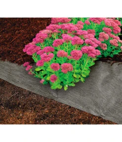 Dehner Rindenmulch-Unterlage, Ca. L300/B200 Cm -Ecopots Garten Geschaft 3079696 WE MO 004 RindenmulchUnterlageMulchunterlageWurzelsperre