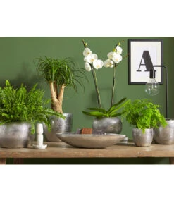 Dehner Keramik-Übertopf Rosella, Bauchig, Silber -Ecopots Garten Geschaft 3136926 PR MO 003 KeramikSerieRosellaChromUveSauer