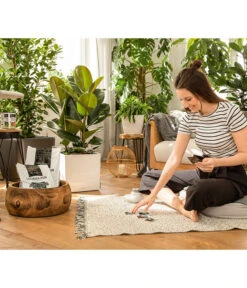 LECHUZA® PON Pflanzensubstrat 8 LECHUZA® PON Pflanzensubstrat -Ecopots Garten Geschaft 3679685 4191144 4191342 3634003 WE MO 004 LechuzaPONNeu n