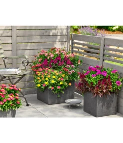 Dehner Kunststoff-Blumenkübel Palermo, Anthrazit -Ecopots Garten Geschaft 3728110 3728151 3940756 WE MO 008 KunststoffBlumenkuebelKubusanthrazitBlumentopf