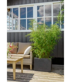 Dehner Kunststoff-Blumenkübel Palermo, Anthrazit -Ecopots Garten Geschaft 3728110 3728151 3940756 WE MO 009 KunststoffBlumenkuebelKubusanthrazitBlumentopf