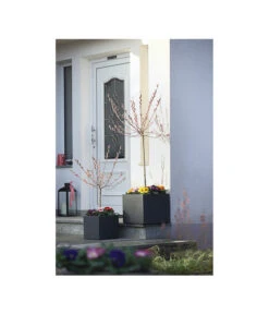 Dehner Kunststoff-Blumenkübel Palermo, Anthrazit -Ecopots Garten Geschaft 3728110 WE MO 001 KunststoffTopfKubusAnthrazitBlumenkuebelBlumentopfKubus