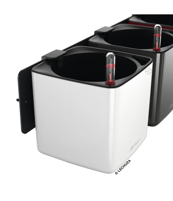 LECHUZA® CUBE Glossy Green Wall Home Kit, Ca. B48/H14/T15 Cm 6 LECHUZA® CUBE Glossy Green Wall Home Kit, Ca. B48/H14/T15 Cm – Bild 4