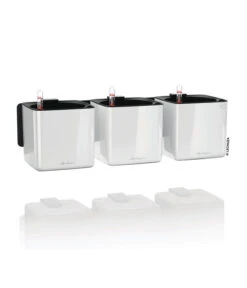 LECHUZA® CUBE Glossy Green Wall Home Kit, Ca. B48/H14/T15 Cm