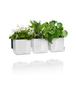 LECHUZA® CUBE Glossy Green Wall Home Kit, Ca. B48/H14/T15 Cm 9 LECHUZA® CUBE Glossy Green Wall Home Kit, Ca. B48/H14/T15 Cm -Ecopots Garten Geschaft 3767662 WE FS 003 CubeGlossyGreenWallHomeKitWeiss