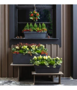 Efeu, Verschiedene Sorten -Ecopots Garten Geschaft 3940764 PR MO 001 KunststoffKastenKubus