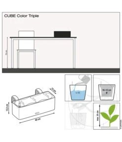 LECHUZA® BALCONISSIMA Color, All-in-One-Set, Ca. B40/H14/T14 Cm -Ecopots Garten Geschaft 4065538 4065553 4065520 WE DE 001 CubeColorTripple