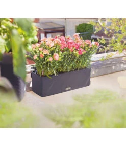 LECHUZA® BALCONISSIMA Color, All-in-One-Set, Ca. B40/H14/T14 Cm -Ecopots Garten Geschaft 4065538 PR MO 001 Balconissima40Anthrazit