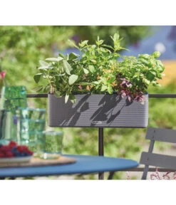 LECHUZA® BALCONISSIMA Color, All-in-One-Set, Ca. B40/H14/T14 Cm -Ecopots Garten Geschaft 4065538 PR MO 002 Balconissima40Anthrazit