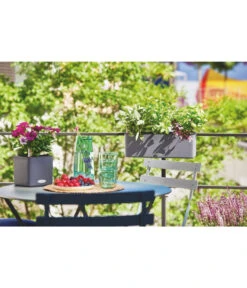 LECHUZA® BALCONISSIMA Color, All-in-One-Set, Ca. B40/H14/T14 Cm -Ecopots Garten Geschaft 4065538 PR MO 004 Balconissima40Anthrazit