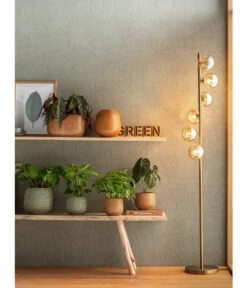 Korbmarante - Calathea Mosaica 8 Korbmarante - Calathea Mosaica -Ecopots Garten Geschaft 4073847 PR MO 001 JardiniereTopfVaseSafirGelbGruen 4077731 4069274 4072542 4092896