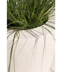 Fleur Ami Polystone-Pflanzgefäß Conical, Konisch, Ca. Ø43/H80 Cm 14 Fleur Ami Polystone-Pflanzgefäß Conical, Konisch, Ca. Ø43/H80 Cm -Ecopots Garten Geschaft 4183984 WE DE 002 PolystPflgef43x80cmCreme