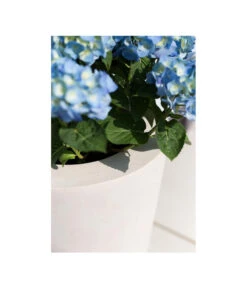 Fleur Ami Polystone-Pflanzgefäß Conical, Konisch, Ca. Ø43/H80 Cm 13 Fleur Ami Polystone-Pflanzgefäß Conical, Konisch, Ca. Ø43/H80 Cm -Ecopots Garten Geschaft 4183984 WE MO 002 fleuramiPolystoneConicalPflanzgefaess43x80cmCreme