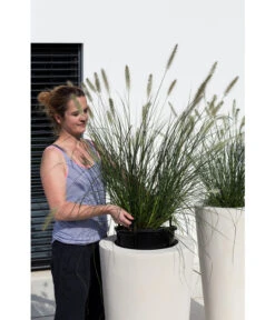 Fleur Ami Polystone-Pflanzgefäß Conical, Konisch, Ca. Ø43/H80 Cm 11 Fleur Ami Polystone-Pflanzgefäß Conical, Konisch, Ca. Ø43/H80 Cm -Ecopots Garten Geschaft 4183984 WE MO 003 PolystPflgef43x80cmCreme