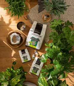 LECHUZA® PON Pflanzensubstrat 9 LECHUZA® PON Pflanzensubstrat -Ecopots Garten Geschaft 4191144 3679685 4191342 WE MO 003 LechuzaPonSubstrat