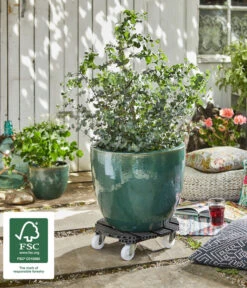 Wagner Pflanzroller, Ø 38 Cm -Ecopots Garten Geschaft 4272654 WE MO 002 MULTIROLLERWPC