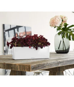 LECHUZA® CUBE Glossy Triple, All-in-One Set, 40 Cm -Ecopots Garten Geschaft 4310652 PR MO 001 CubeGlossyTripleWeiss