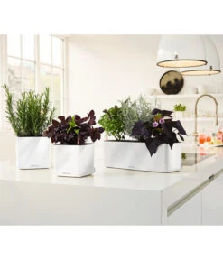 LECHUZA® CUBE Glossy Triple, All-in-One Set, 40 Cm -Ecopots Garten Geschaft 4310652 PR MO 003 CubeGlossyTripleWeiss