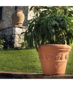 Farmet Kunststoff-Pflanzkübel Festonato, Rund, Terrakotta 6 Farmet Kunststoff-Pflanzkübel Festonato, Rund, Terrakotta -Ecopots Garten Geschaft 4311700 WE DE 002 FESTONATOPFLANZKD35IMP