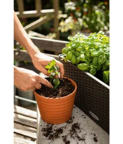 LECHUZA® VEGGIEPON Gemüsepflanzsubstrat -Ecopots Garten Geschaft 4365029 WE MO 003 LechuzaVeggiepon