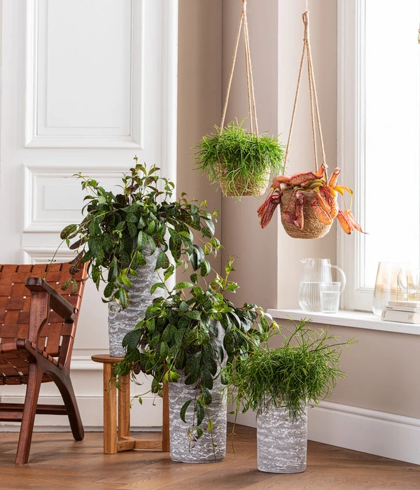 Dehner Keramik-Vase Toni, Rund, Grau 4 Dehner Keramik-Vase Toni, Rund, Grau – Bild 2