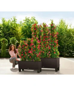 LECHUZA® Kunststoff-Kasten Trio Cottage, Rechteckig -Ecopots Garten Geschaft 5181268 WE MO 001 LechuzaKunststoffkastenTrioCottage