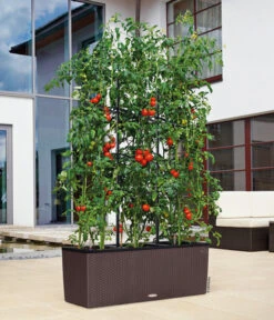 LECHUZA® Kunststoff-Kasten Trio Cottage, Rechteckig -Ecopots Garten Geschaft 5181268 WE MO 004 LechuzaKunststoffkastenTrioCottage