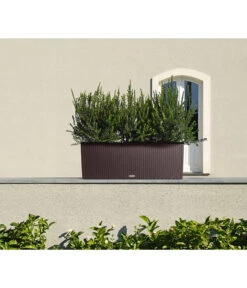 LECHUZA® Kunststoff-Kasten Trio Cottage, Rechteckig -Ecopots Garten Geschaft 5181268 WE MO 011 LechuzaKunststoffkastenTrioCottage