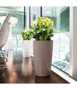 LECHUZA® RONDO, All-in-One-Set -Ecopots Garten Geschaft 5473616 BildFS 003 Rondo32TaupeLechuza