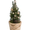 Geschmückter Weihnachtsbaum Loxley 2 Geschmückter Weihnachtsbaum Loxley -Ecopots Garten Geschaft 6202030 WE FS 001 WeihnachtsbaeumchenLoxley20cm