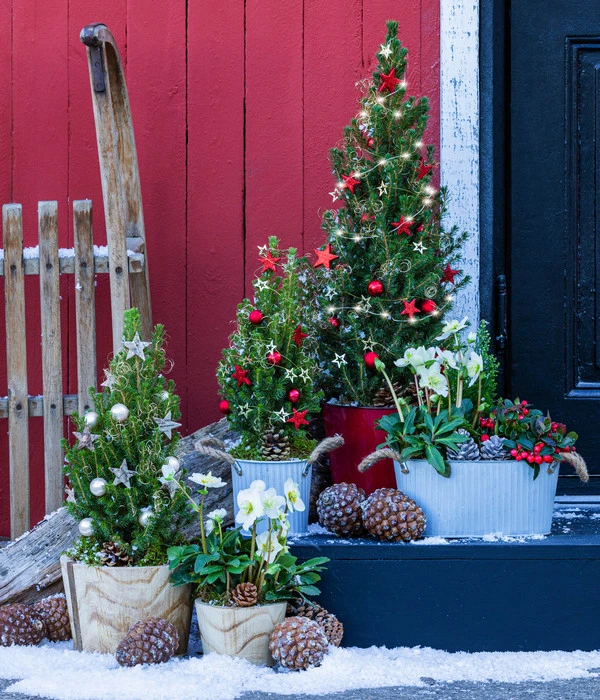 Geschmückter Weihnachtsbaum Linus 4 Geschmückter Weihnachtsbaum Linus – Bild 2