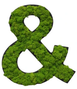 StyleGREEN Sonderzeichen 'Und' Aus Islandmoos, Ca. B20/H25/T3,5 Cm