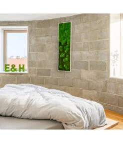 StyleGREEN Bild Aus Wald- Und Kugelmoos Im Verlauf, Ca. B140/H40/T7 Cm 8 StyleGREEN Bild Aus Wald- Und Kugelmoos Im Verlauf, Ca. B140/H40/T7 Cm -Ecopots Garten Geschaft 6429799 PR MO 001 Wald Kugelmoosbild140x40cm