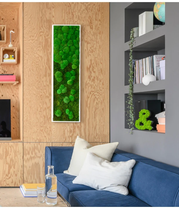 StyleGREEN Bild Aus Wald- Und Kugelmoos Im Verlauf, Ca. B140/H40/T7 Cm 6 StyleGREEN Bild Aus Wald- Und Kugelmoos Im Verlauf, Ca. B140/H40/T7 Cm – Bild 4