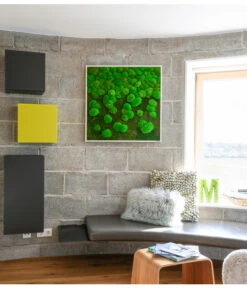 StyleGREEN Bild Aus Wald- Und Kugelmoos Im Verlauf, Ca. B80/H80/T7 Cm -Ecopots Garten Geschaft 6429807 WE MO 001 Wald KugelmoosbildVerlauf80x80cm