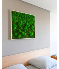 StyleGREEN Bild Aus Wald- Und Kugelmoos Im Verlauf, Ca. B80/H80/T7 Cm -Ecopots Garten Geschaft 6429807 WE MO 002 Wald KugelmoosbildVerlauf80x80cm