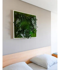 StyleGREEN Bild Im Dschungeldesign, Quadratisch, Ca. B80/H80/T20 Cm -Ecopots Garten Geschaft 6429831 WE MO 001 Pflanzenbild80x80cm