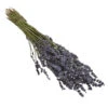 Trockenblumenbund Lavendel -Ecopots Garten Geschaft 6491682 PR FS 001 LavendeltiefblauBund DehnerExpressHerzig