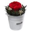 Dehner Arrangement Mit Longlife-Rose Ida, Rot, Ca. Ø7,5/H15 Cm -Ecopots Garten Geschaft 6536841 WE FS 002 LLArrangIdaRot