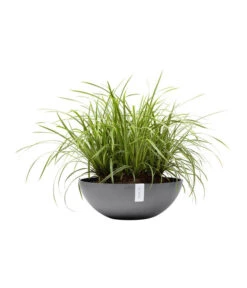 Ecopots Kunststoff-Topf Vienna, Rund, Grau, Ca. Ø50/H18 Cm -Ecopots Garten Geschaft 6614457 WE FS 003 EcopotsKunststoffTopfViennarundgrau