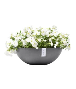 Ecopots Kunststoff-Topf Vienna, Rund, Grau, Ca. Ø50/H18 Cm -Ecopots Garten Geschaft 6614457 WE FS 004 EcopotsKunststoffTopfViennarundgrau