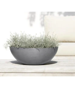 Ecopots Kunststoff-Topf Vienna, Rund, Grau, Ca. Ø50/H18 Cm -Ecopots Garten Geschaft 6614457 WE MO 001 EcopotsKunststoffTopfViennarundgrau