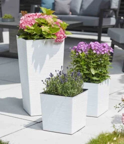 Siena Garden Kunststoff-Säule ECO Nizza, Konisch, Ca. B35/H68/T35 Cm -Ecopots Garten Geschaft 6655401 WE MO 003 PflanzgefaessNizza35Weiss